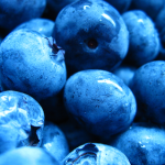 Blueberries up close